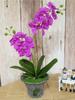 1 Pc Artificial Flowers Faux Butterfly Orchid Real Touch Flowers for Wedding Home Office Party Hotel Yard Decoration Restaurant Patio Festive