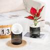 Ленивый гидропонный цветочный горшок самополивающийся цветочный горшок комнатный мини-плантер для суккулентов настольная ваза для украшения дома сада бонсай