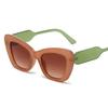 New Cat Eye Sunglasses Women Cool Brand Designer Colorful Sun Glasses Female Male Square Gradient Outdoor Eyewear