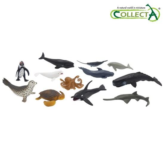 Collecta Mini Marine Animal Figures 12-piece Set No. 2, Popular Toys In Korea