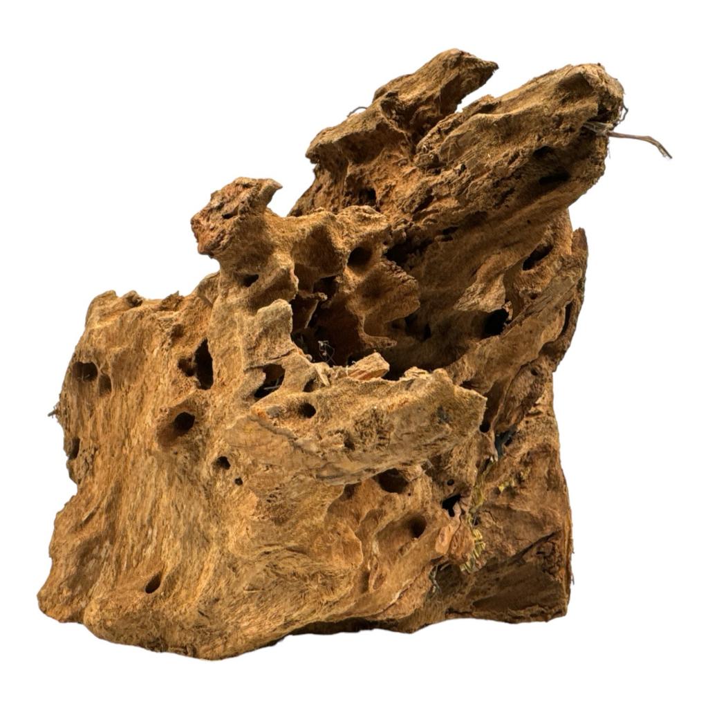 BioRoot Mangrove M / 20-35cm / Mangrove root for terrarium and aquarium