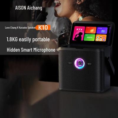 Умная караоке-колонка AISON K10, штекер CN (адаптер в комплекте)