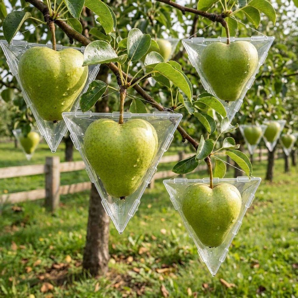 Plastic Tomato Growing Shaping Mold Growing Box Vegetable Planting Mold Garden Yard