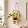Home Ornaments Wall Mounted Planter Vase Hydroponic Planter Shelf Flower Pot  Home Decor