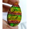 Natural Ammolite Pear Cut 62-64 Ct Fabulous Certified Loose Gemstone