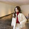 Autumn and Winter New Imitation Lamb Fur Coat Loose Small Warm Short Top Women's Fashion