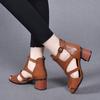 High Heeled Sandals Female  New Summer Fish Mouth Shoes Chunky Heel Roman Back Zipper Sandals Solid Casual Sandales Femmes