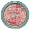 Германия Rothmann Alterra Alterra Multicolor Ball Touch 01 Розовый Шиммер 9г