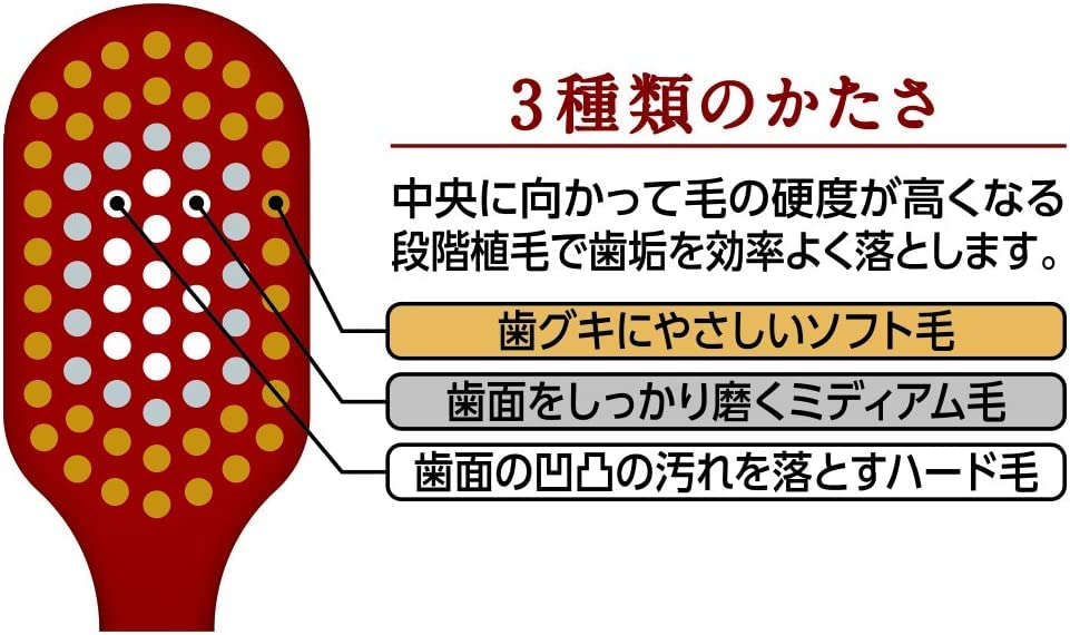 Ebisu The Premium Care Medium Bristles of selection not available Toothbrush, 7-row Regular, [Set 5] Color