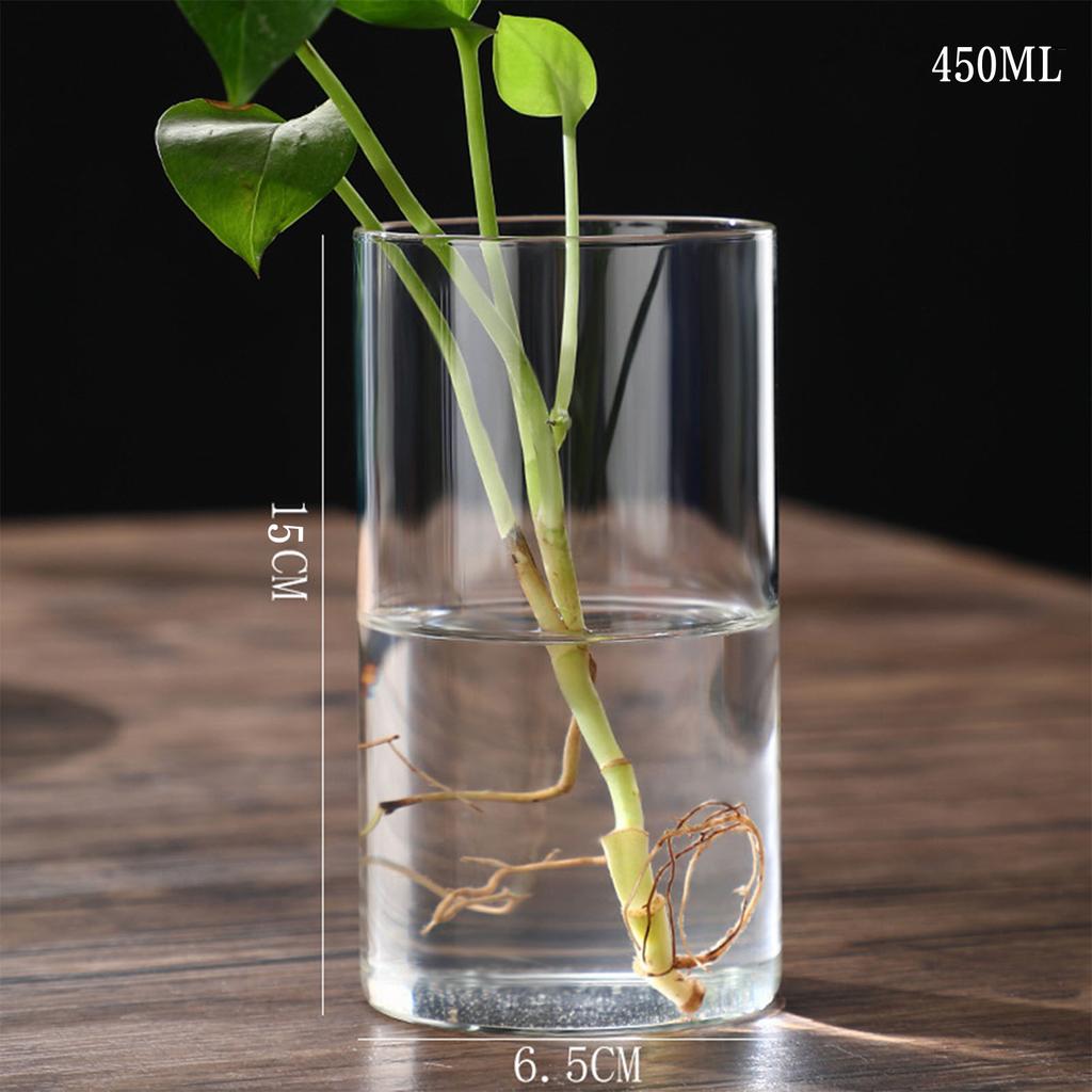 Transparent Glass Hydroponic Vase Modern Small Cylinder Flower Centerpiece Vases Use for Floral Wedding Home Decoration
