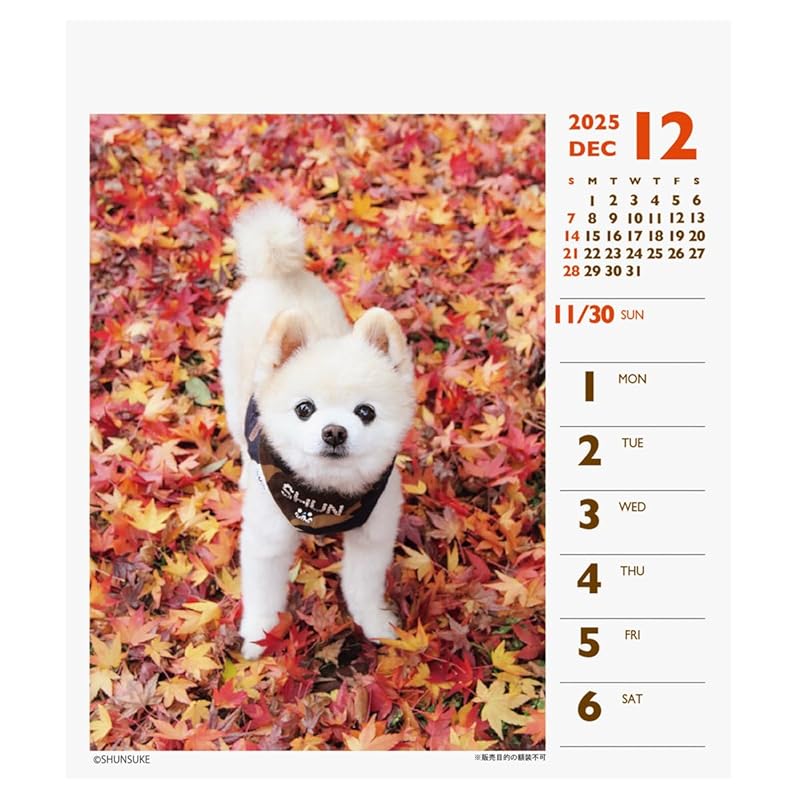 2025 Шунсукэ (еженедельный мини) календарь №044