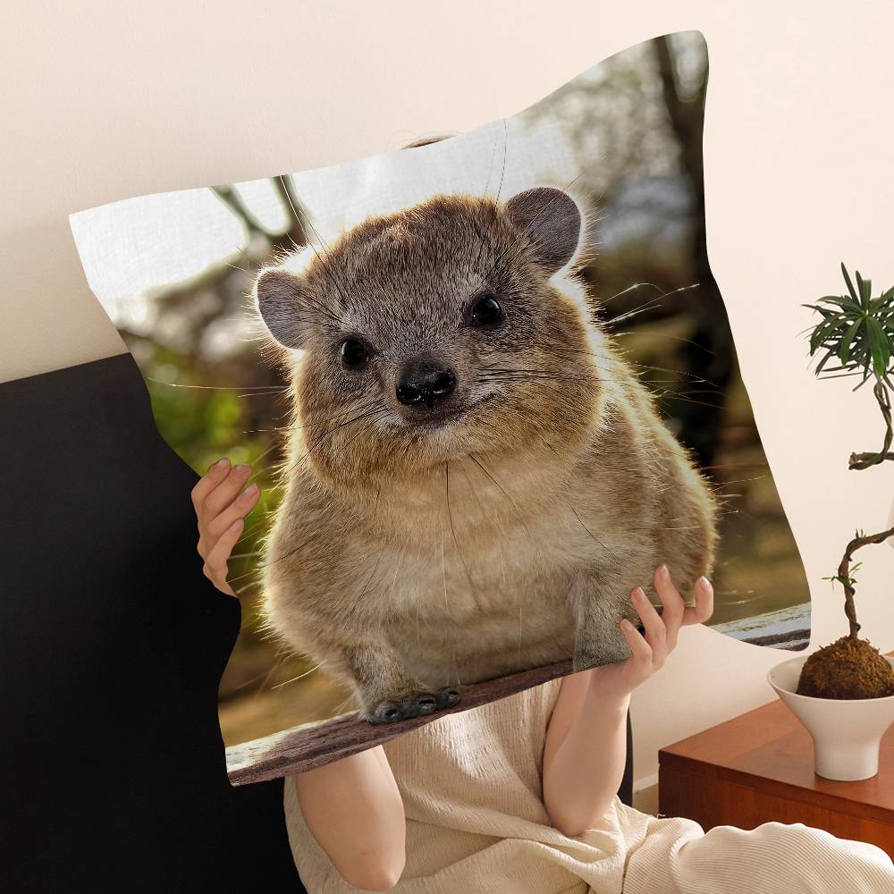 Rock Hyrax Animal Cushion Cover Pillow Cover Decor Pillowcase Printed Cushion Case for Couch