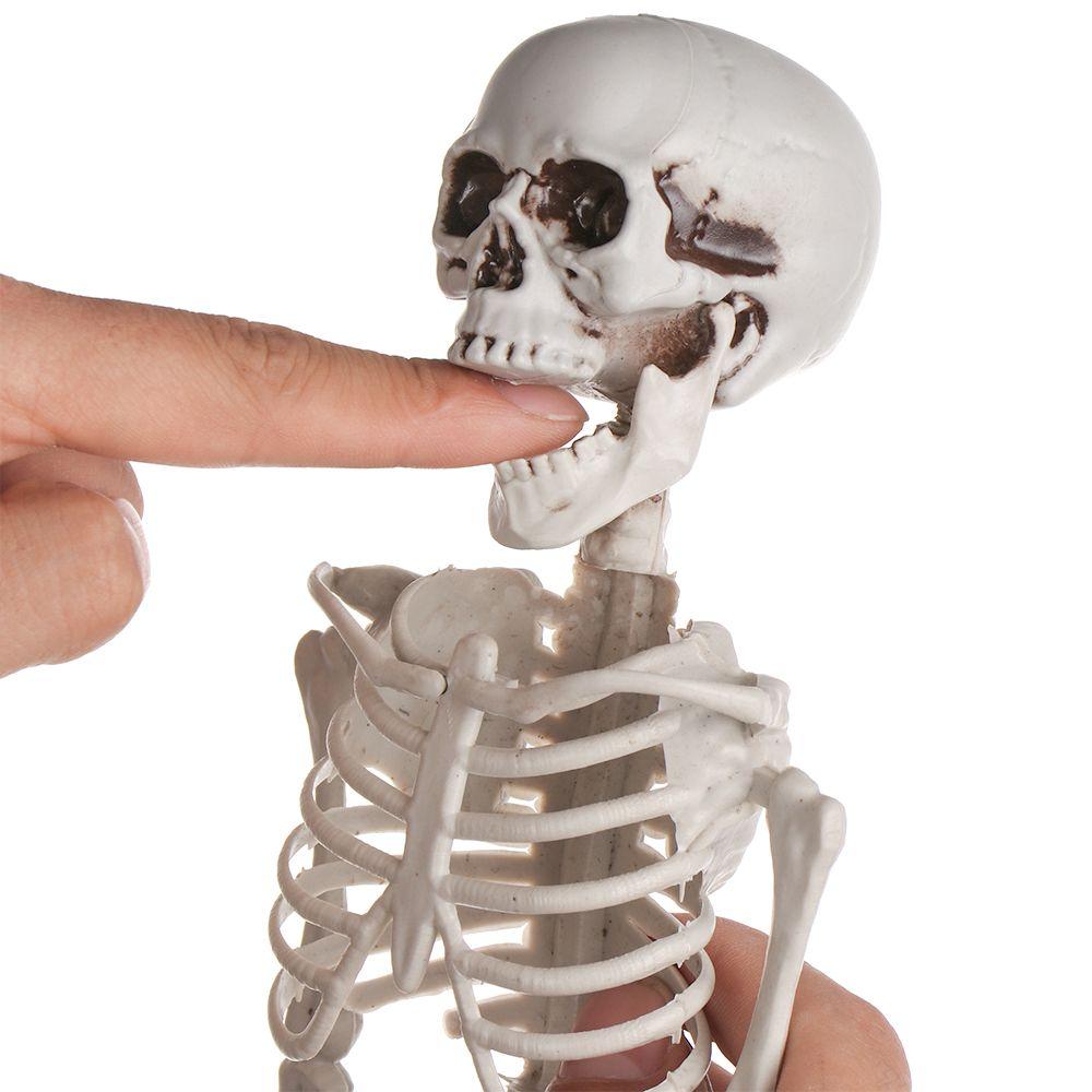 House Decoration Photography Props Halloween Human Skeleton Pumpkin Skull Body Figurine Bone Model