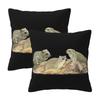 Rock Hyrax Photo Dassie Vampire Potato 2 pcs Square Pillowcase Pillow Cover Cushion Decor Comfort Throw Pillow for Home Bedroom