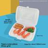 Plastic Disposable Lunch Box with Compartments - 3, 4 Grid Options for Takeaway, Bento, or Fast Food | Free Shipping