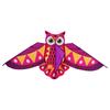 Durable Owl Kite For Kids Outdoor Activities Colorful Long Tail Design High Wind Resistance Fiberglass Frame Easy Assembly Foldable Travel Toy