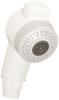 TOTO Shower Head TL384 (for Model) Off-White TH589-1 #N11