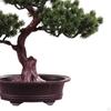 Приветствующее дерево в горшке, растение бонсай, декоративный роман и уникальный многофункциональный настольный дисплей для