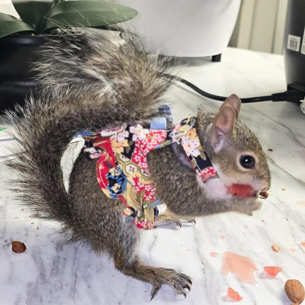 Multicolor Ferret Harness and Leash Set Floral Pattern Traction Rope Squirrel Floral Skirt Wear-resistant Breathable