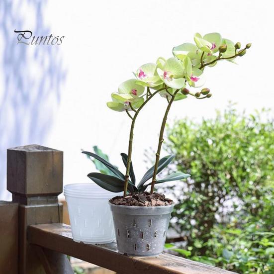 Clear Orchid Pot Reusable Orchid Flowerpot with Holes Plastic Ventilated Planter for Repotting Growing Indoor Outdoor Orchids
