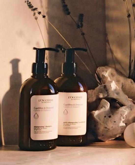 L'OCCITANE Balancing Shampoo 500mL Large Capacity