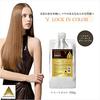 Phiten Lock in Color Treatment b 700г 0916HTR9100