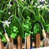 1/4 Inch Nozzle Dripper Sprayer Misting Atomizing Sprinkler With Hose Tee Barb Thread Connector For Garden Irrigation System