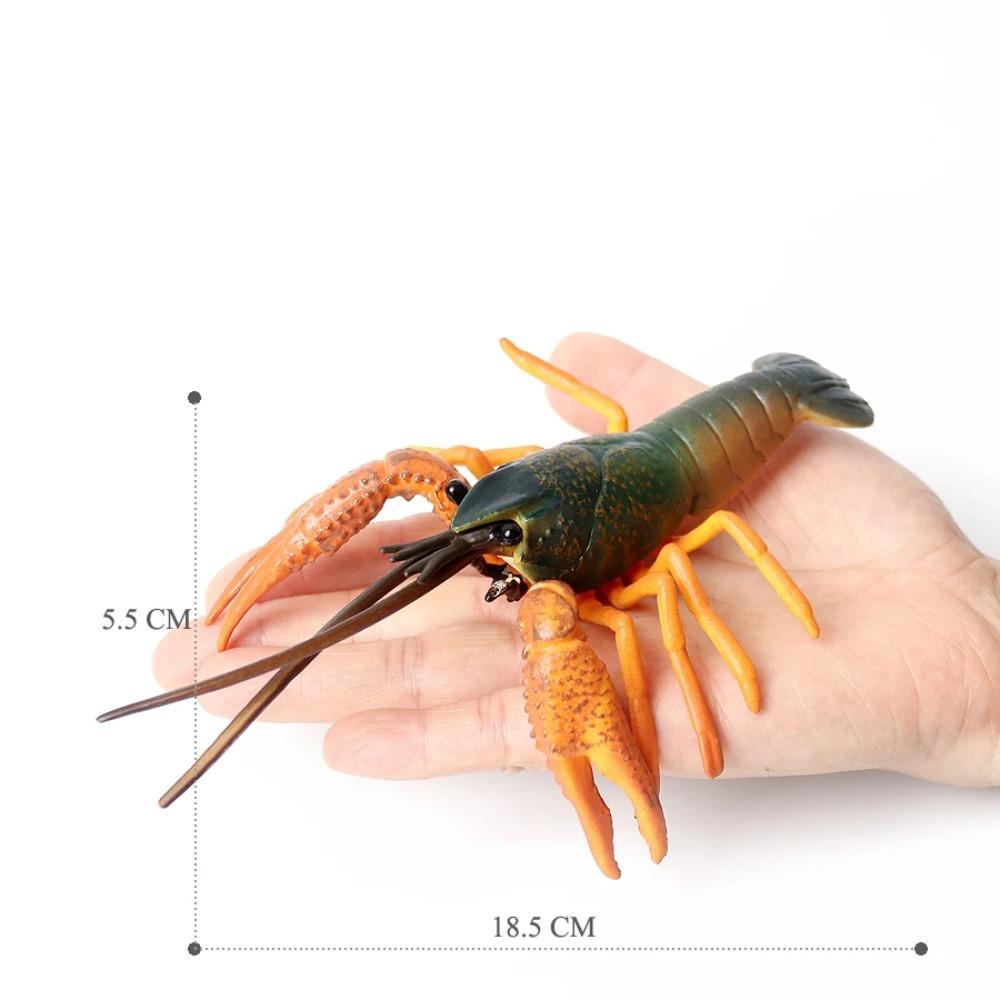 Realistic Prehistoric Sea Creatures Animal Figurines Baculite,Opabinia,Crab,Mantis Shrimp Educational Marine Animal Mode Figures