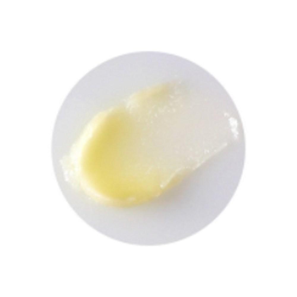 Dr. Bronner's Organic Lip Balm