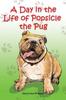 Книга A Day In the Life of Popsicle the Pug