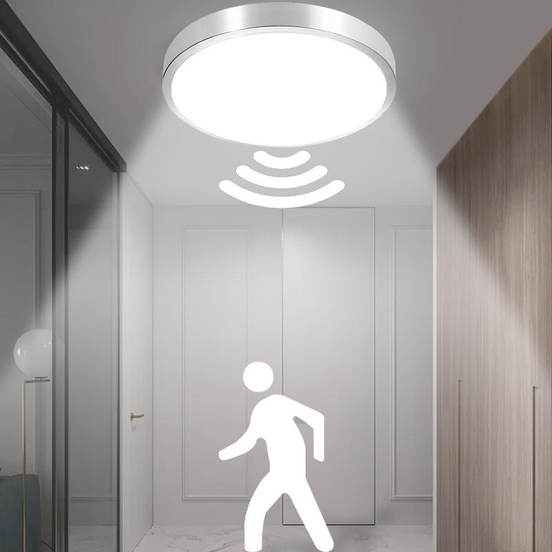 Индивидуальный светодиодный потолочный светильник с голосовым управлением и датчиком движения для коридоров и лестниц