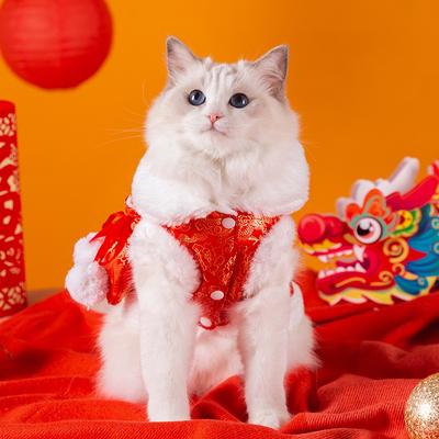 Сумка-саквояж с новогодним сюрпризом, одежда для кошки, праздничная одежда Тан на китайский Новый год, бархатная теплая одежда для куклы-питомца, одежда для кошки