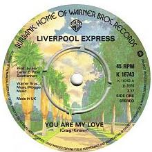7inch Record LIVERPOOL EXPRESS You Are My Love K16743 Warner Bros. Re 1976 UK Pop Used