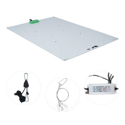 120 Вт регулируемая квантовая плата Grow Light Полный спектр комнатный светильник для роста растений Вегетарианство и цветение Двойной