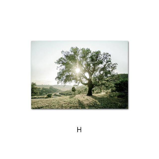 Дерево в скандинавском стиле, картина на холсте, солнечный свет, природа, пейзаж, постер, утренний восход, трава, настенная живопись, скандинавское украшение, картина