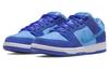 Nike Sb Dunk Low Pro 'Fruity Pack Голубая Малина' DM0807-400