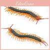 Small Fake Centipede Model With Static Display For Pranksters And Prank Gifts