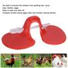 500Pcs Chicken Blinders Spectacles Anti Pecking Eye Glasses Tool for Poultry Necessary