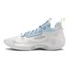 Мужские кроссовки Way of Wade 10 Low Ice Blood белые ABAS083-11