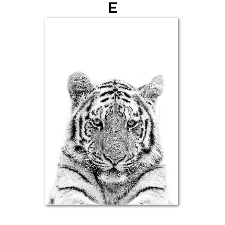 Черно-белый енот, лиса, коала, белка, настенная живопись на холсте, постеры на скандинавскую тему и принты, настенные панно, декор для детской комнаты