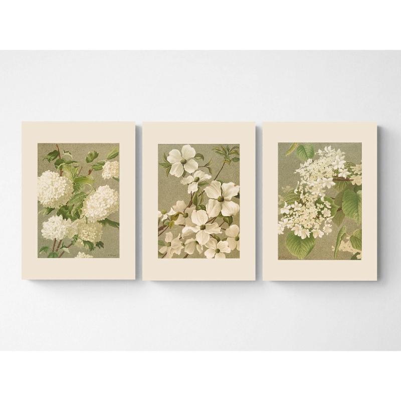 Vintage Botanical Print Cottagecore Farmhouse French Country Watercolor Art Gardening Gift White Flowers Gallery Wall Set of 3