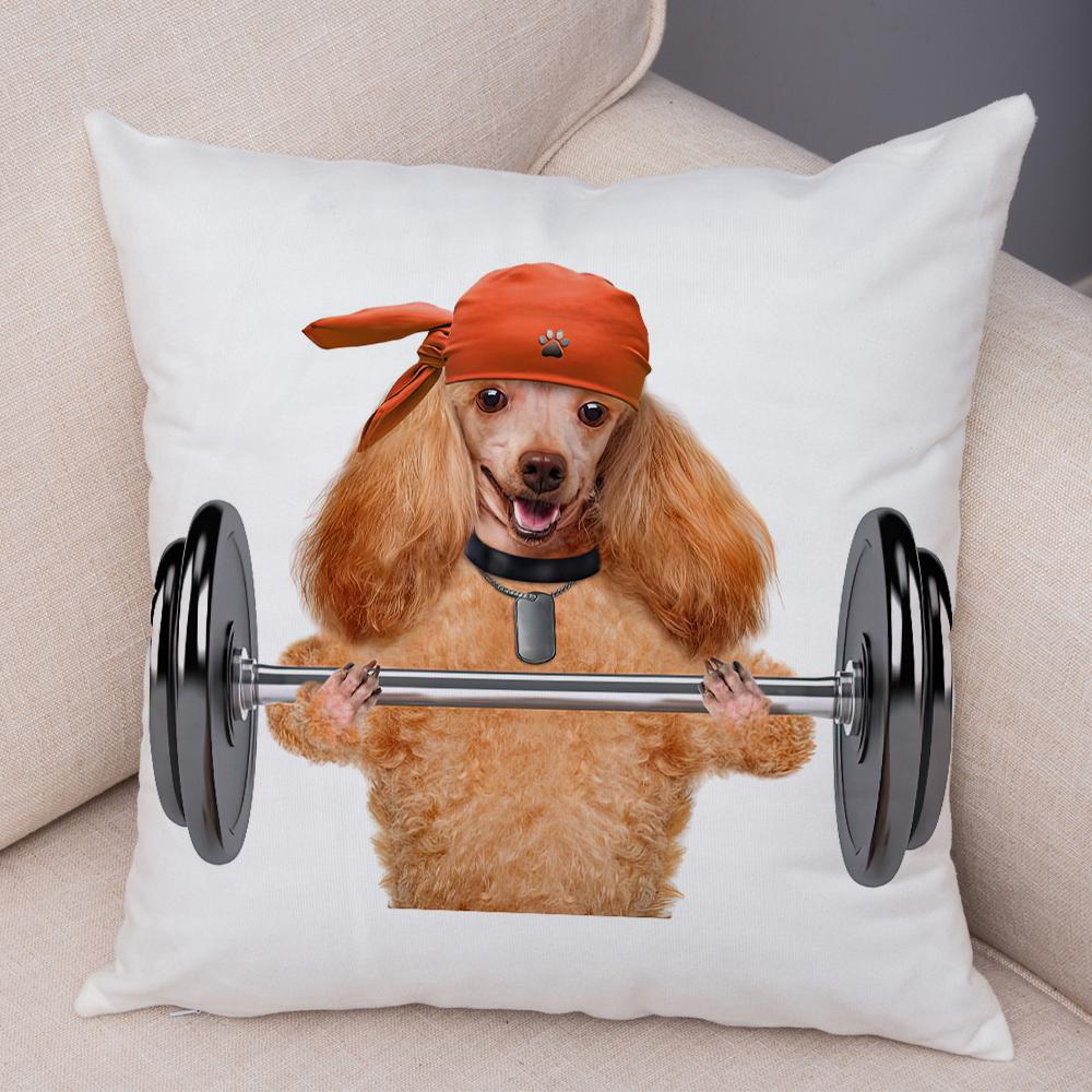 Funny Cat Dog Cushion Cover Fitness Animal Dumbbell Print Soft Fabric Living Room Sofa Home Decor Pillow Case