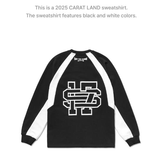 2-й предварительный заказ 2025 SVT 9th Fan Meeting SEVENTEEN в толстовке Carat Land