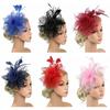 Wedding Fascinator Hat Mesh Flower Tea Party Headband Vintage Alice Headband Clip for Women Girls