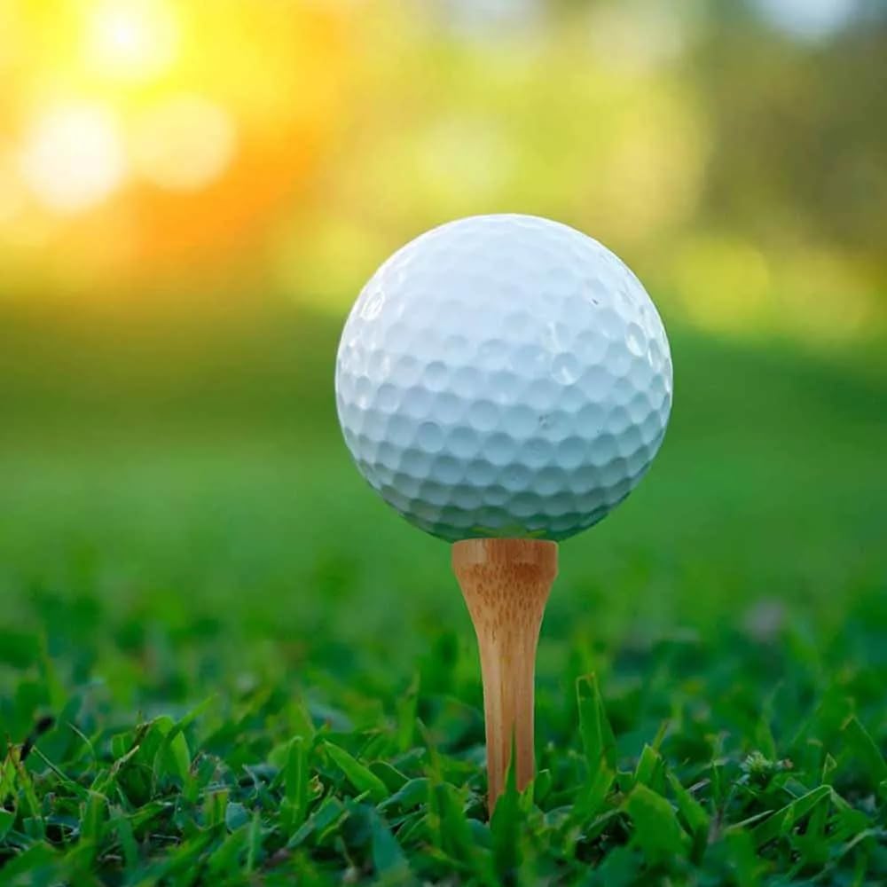 Audiophile golf tee tier long tee wood tee long tiered