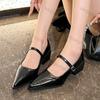 Woman Fashion Pointy Mary Jane Shoes 2025 Spring New Elegant Pumps Female Sexy Pointed Toe High Heels Thick Heel Party Shoes