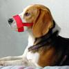 Eating Adjustable Anti-biting Dog Straps Mask Dog Muzzle Puddy Mouth Cover Pet Accessories