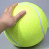 1/2Pcs Large Inflatable Tennis Ball Dog Chewing Toy 9.5 Inch Pet Ball Interactive Toys Outdoor Cricket Dog Training Supplies