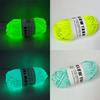 Novel Functional Yarn Glow In The Dark Polyester Luminous Chunky Yarn 2mm for Hand Knitting Carpet Sweater Hat Wool Yarn