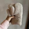 Зимние теплые перчатки для женщин с плюшевой подкладкой для поездок на работу и активного отдыха